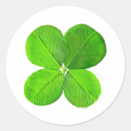 Adesivo Redondo Quatro Folhas De Pé O MUSEUM Zazzle Dons