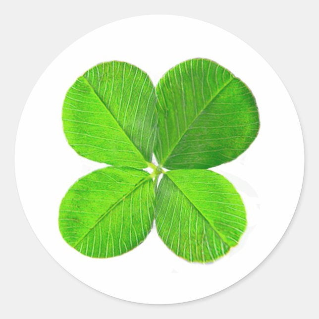 Adesivo Redondo Quatro Folhas De Pé O MUSEUM Zazzle Dons (Frente)