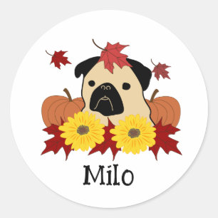 Adesivo Redondo Quebra de Pug com Folhas, Pumpkins e Girassóis