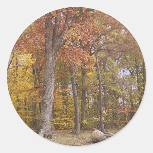 Adesivo Redondo Queda no Park Sticker (Frente)