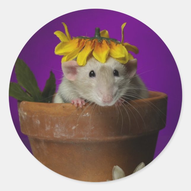 Adesivo Redondo quem esteve nas flores? (Frente)