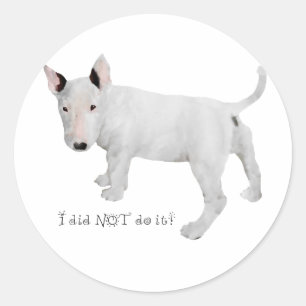 Adesivo Redondo Quem, eu? Cachorrinho Bull Terrier