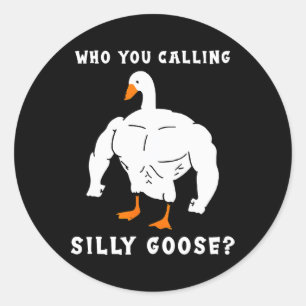 Adesivo Redondo Quem Você Chama De Bobo Goose Funny Gym Meme
