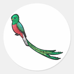 Adesivo Redondo Quetzal