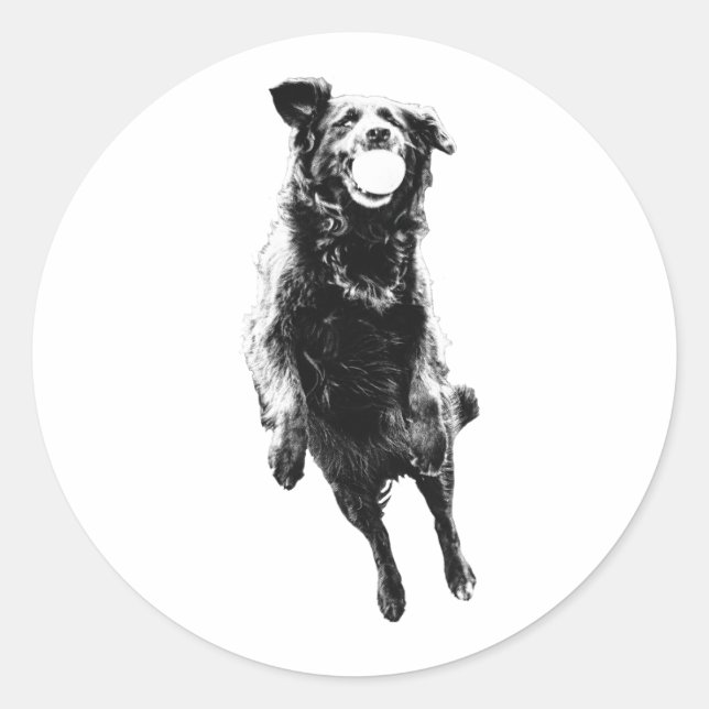 Adesivo Redondo Quiet ball carry (Frente)