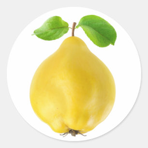 Adesivo Redondo Quince fruta