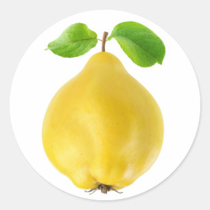 Adesivo Redondo Quince fruta