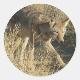 Adesivo Redondo R14 Coyote Caminhando