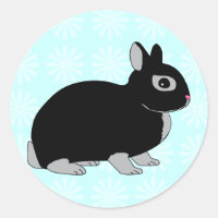 Rabbit anão da Holanda