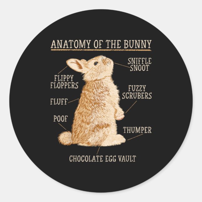 Adesivo Redondo Rabbit Anatomy Bunny Lover Animal Pet Owner  (Frente)