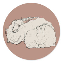 Rabbits Angora Gigantes