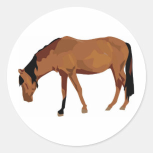 Adesivo Redondo Raça de Cavalo