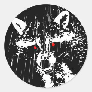 Adesivo Redondo Raccoon