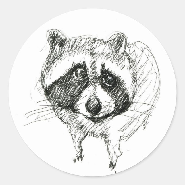Adesivo Redondo Raccoon Sticker (Frente)
