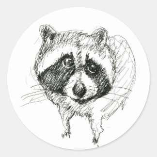 Adesivo Redondo Raccoon Sticker