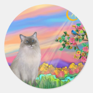 Adesivo Redondo Ragdoll Cat (Ponto Azul) - Estrela do Dia
