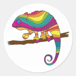 Adesivo Redondo Rainbow Chameleon Stickers