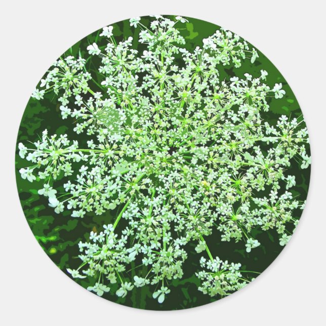 Adesivo Redondo Rainha Anne's Lace (Frente)