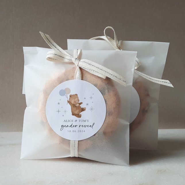 Adesivo Redondo Raio de Teddy - Balões de Gênero (Criador carregado)