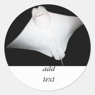 Adesivo Redondo Raio Sorrindo