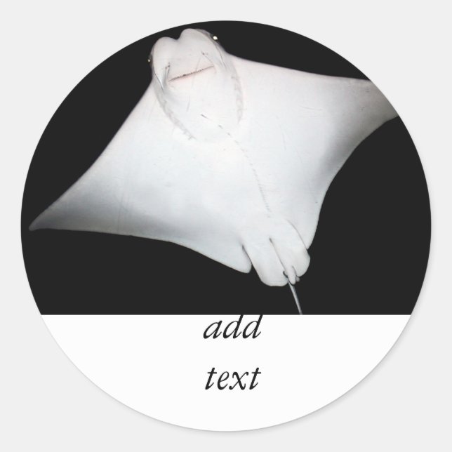 Adesivo Redondo Raio Sorrindo (Frente)