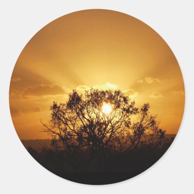 Adesivo Redondo raios solares (Frente)
