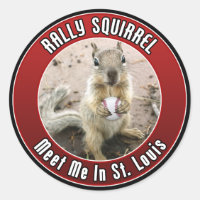 Rally Squirrel - Louis, Missouri
