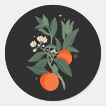 Ramais de laranja mágico