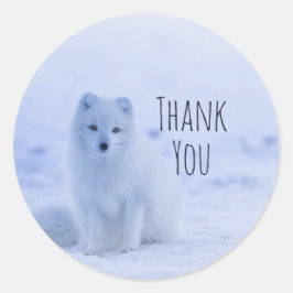Adesivo Redondo Raposa Árctica Cuja Neve Está Muito Obrigado