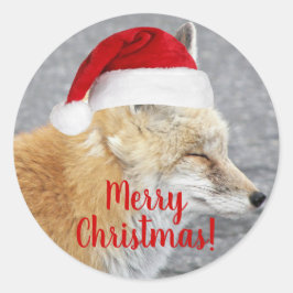 Adesivo Redondo Raposa Vermelha Sonolenta Vestindo Feriado Vermelh