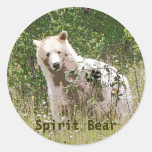 Adesivo Redondo Rare Kermode Spirit Bear, Trabalho de arte