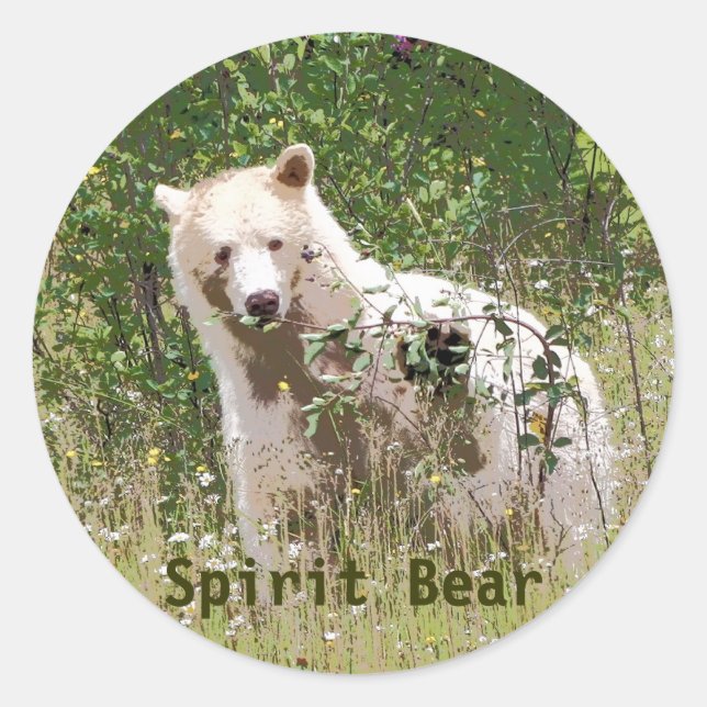 Adesivo Redondo Rare Kermode Spirit Bear, Trabalho de arte (Frente)