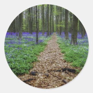 Adesivo Redondo Rastreio