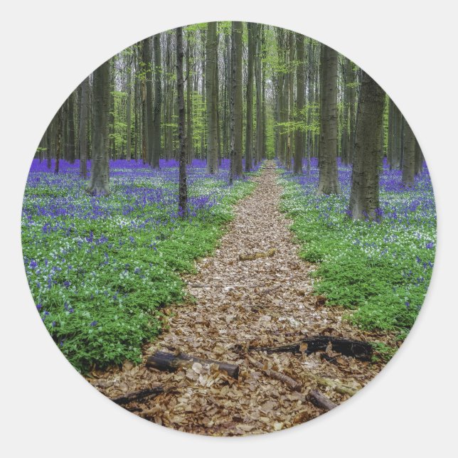 Adesivo Redondo Rastreio (Frente)