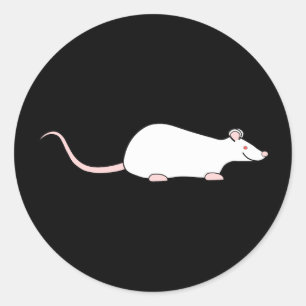 Adesivo Redondo Rato branco do animal de estimação do albino