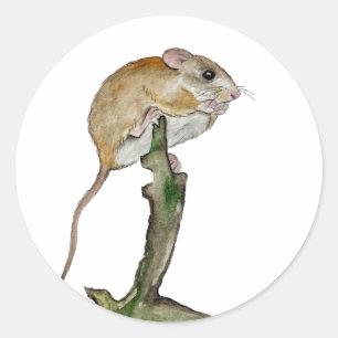 Adesivo Redondo Rato de aquarela realista em uma árvore