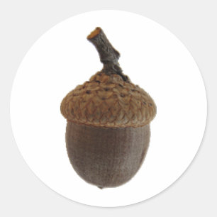 Adesivo Redondo Receitas da Cozinha de Comida de Invólucro de Louc