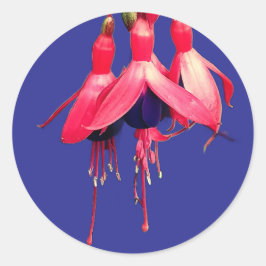 Adesivo Redondo Red and purple flowers