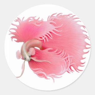 Adesivo Redondo Red Betta Splendens Fish Sticker