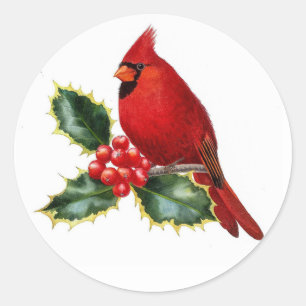 Adesivo Redondo Red Cardinal Bird e Holly Berry no Natal
