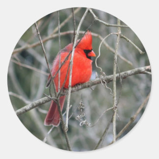 Adesivo Redondo Red Cardinal Crest