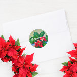 Adesivo Redondo Red Christmas Poinsettia Flowers Endereço<br><div class="desc">Belo envelope de Natal personalizado,  design com flores vermelhas de Poinsettia com folhas verdes no estilo de pintura impressionista. O texto é totalmente personalizável. Para alterá-la,  use a opção Personalizar. Para obter mais alterações,  como alterações na fonte,  cor da fonte ou layout de texto,  use a opção Editar design.</div>