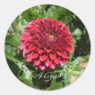 Adesivo Redondo Red Dahlia