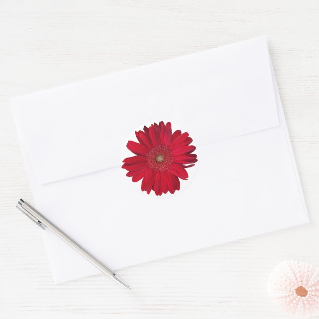 Adesivo Redondo Red Gerber Daisy Fechar Fotografia (Envelope)