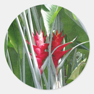 Adesivo Redondo Red Ginger Sticker