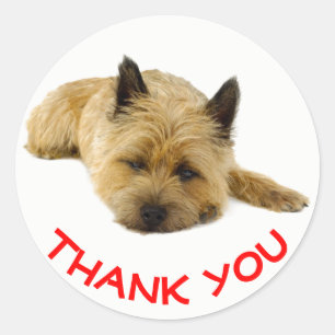 Adesivo Redondo Red Obrigado Cairn Terrier Puppy Dog
