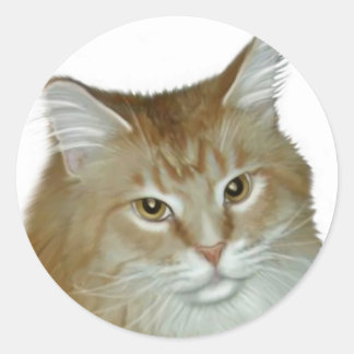 Adesivo Redondo Red Tabby Maine Coon