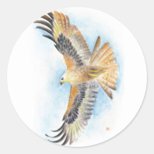 Adesivo Redondo Red Tail Hawk Art