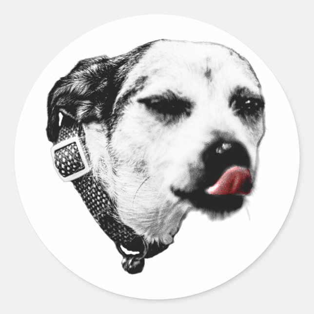Adesivo Redondo  Red Tongue Terrier Sticker – Wink & Sass (Frente)