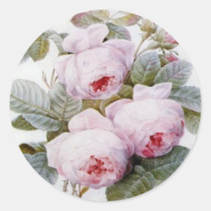 Adesivo Redondo Redouta Pink Roses Round Sticker